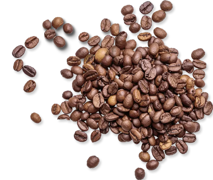 コーヒービーンズ